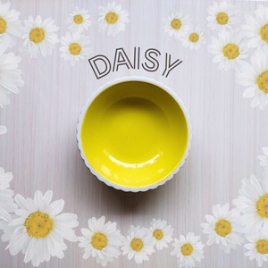 Mino ware Side Dish Bowl Cookies Daisy Made in Japan