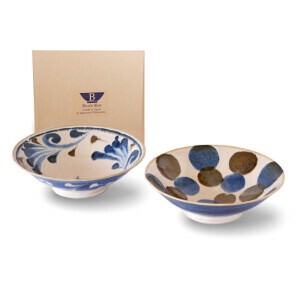 Mino ware Main Dish Bowl Made in Japan