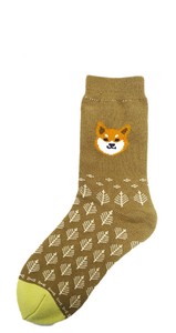 Socks Shibata-san