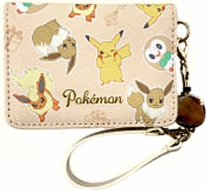 Pouche Pokemon