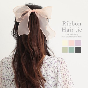 Hair Ties Ribbon