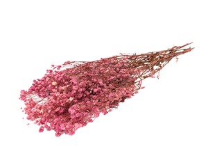 即納 かすみそうブロッサム サクラピンク プリザーブドフラワー カスミソウ 霞 花材 小さい花