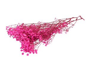 即納 かすみそうブロッサム ビビットピンク プリザーブドフラワー カスミソウ 霞 花材 小さい花