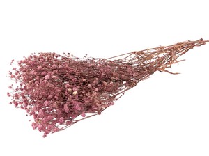 即納 かすみそうブロッサム アッシュピンク プリザーブドフラワー カスミソウ 霞 花材 小さい花