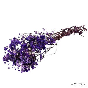 即納 かすみそうブロッサム パープル プリザーブドフラワー カスミソウ 霞 花材 小さい花 紫色