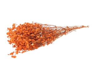 即納 かすみそうブロッサム オレンジ プリザーブドフラワー カスミソウ 霞 花材 小さい花
