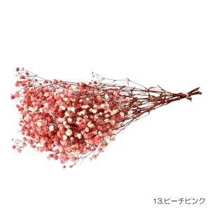 即納 かすみそうブロッサム ピーチピンク プリザーブドフラワー　カスミソウ　霞　花材　小さい花