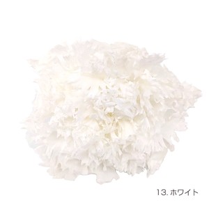 即納 フリルカーネーション ホワイト プリザーブドフラワー 花材