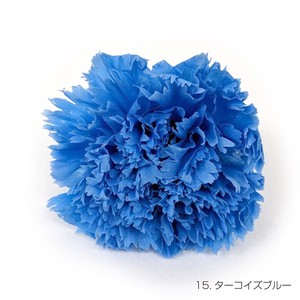 即納 フリルカーネーション ターコイズブルー プリザーブドフラワー 花材