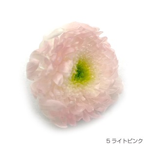 即納 グラデーションマムこまち ライトピンク プリザーブドフラワー 菊 花材 丸い花 桃色