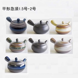 Japanese Teapot 2023 New Made in Japan