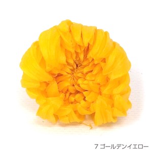 即納 リンギク ゴールデンイエロー プリザーブドフラワー 輪菊 花材 黄色