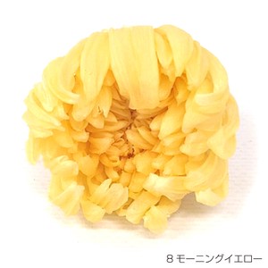 即納 リンギク モーニングイエロー プリザーブドフラワー 輪菊 花材 黄色