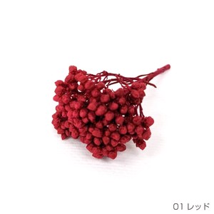 即納 ライスフラワー（パステルシリーズ）レッド  プリザーブドフラワー 花材 小さい花 赤色