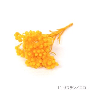 即納 ライスフラワー（パステルシリーズ）サフランイエロー  プリザーブドフラワー 花材 小さい花 黄色