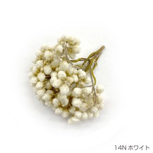 即納 ライスフラワー(ナチュラルシリーズ）ホワイト  プリザーブドフラワー 花材 小さい花 白色