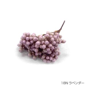 即納 ライスフラワー(ナチュラルシリーズ） ラベンダー プリザーブドフラワー 花材 小さい花 薄紫色