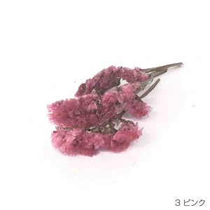 即納 スモーキースターチス ピンク プリザーブドフラワー 花材 桃色