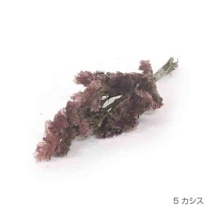 即納 スモーキースターチス カシス プリザーブドフラワー 花材 紫色