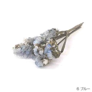 即納 スモーキースターチス ブルー プリザーブドフラワー 花材 青色