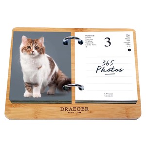 Calendar Cats Cat Box Set 2023 New