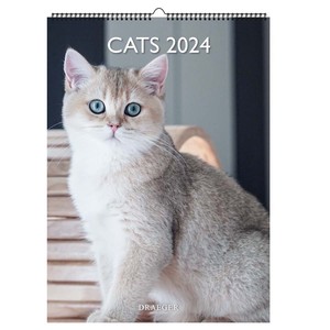 ドレジャー 2024年 ポスターカレンダー CATS 壁掛けカレンダー 猫 2023新作