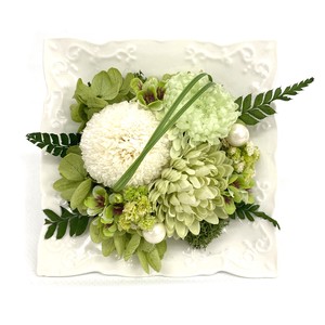 ほっぺマム ホワイト グリーン プリザーブドフラワー 現代仏花 供花 お供え キク 菊 和風 ギフト 小さい