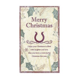 【セール品】ソラペーパーメッセージカード　名刺　クリスマス馬蹄　赤