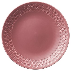 Main Plate Porcelain 25cm Made in Japan