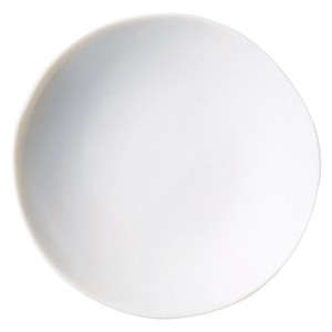 Small Plate Porcelain Made in Japan