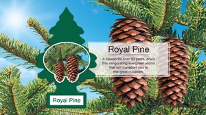 リトルツリー エアーフレッシュナー　Royal Pine（ロイヤルパイン）