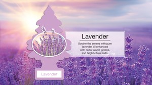 リトルツリー エアーフレッシュナー Lavender（ラベンダー）