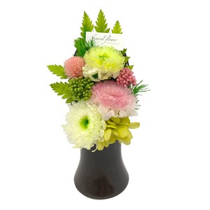 鼓 つづみ グリーン 現代仏花 供花 お供え マム キク 菊 和風 ギフト プレゼント 小さい ミニ