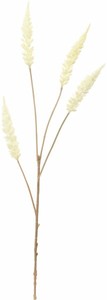 【造花】ドライベロニカスプレー　クリーム　FG　−5269CR