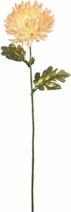 【造花】ブラッシュマム　色名不明　FS　−5429CR