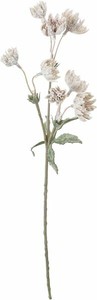【造花】スノーアストランチアスプレー　グレー　FS　−6168GRY
