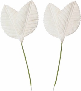 【雑貨】ソラパーツ椿の葉　無垢　2P　　MCY−0567