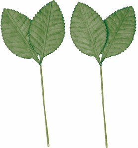 【雑貨】ソラパーツ椿の葉　ミドリ　2P　　MCY−0568