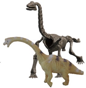 【恐竜】【夏休み】【自由研究】発掘恐竜スケルトンキット　ブラキオサウルス　603-B