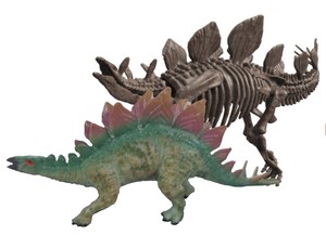 【恐竜】【夏休み】【自由研究】発掘恐竜スケルトンキット　ステゴザウルス　604-B