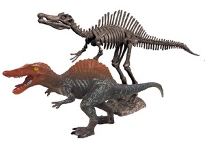 【恐竜】【夏休み】【自由研究】発掘恐竜スケルトンキット　スピノサウルス　605-B