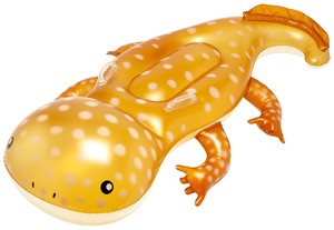 Pool Float Float Giant Salamander