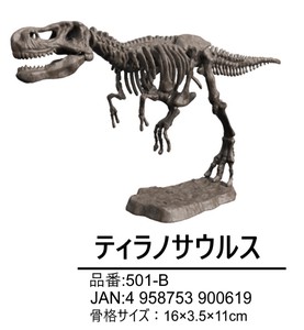 【恐竜】【夏休み】【自由研究】恐竜スケルトンキット　ティラノサウルス　501-B