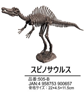【恐竜】【夏休み】【自由研究】恐竜スケルトンキット　スピノサウルス　505-B