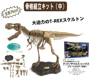 【恐竜】【夏休み】【自由研究】T-REX骨格組み立てキット（中）ティラノサウルス・レックス　CL-1647K