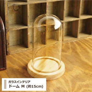 ガラスインテリア 【 ドームM（約15cm） 】