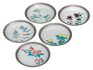 日本の伝統工芸品【九谷焼】 6号皿揃 金襴小紋五草花   (K9-109) (K8-80)