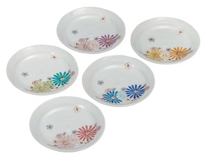 日本の伝統工芸品【九谷焼】 5.5号皿揃 華  色絵 遊 (K9-124) (K8-93)