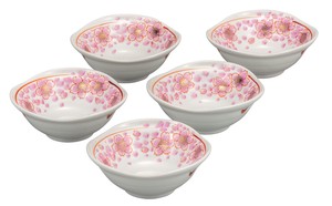 Kutani ware Side Dish Bowl Small Assortment 4.2-go