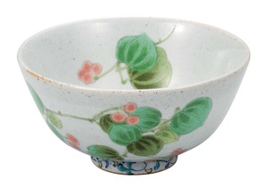 日本の伝統工芸品【九谷焼】 飯碗 山帰来   (K9-470) (K8-427)